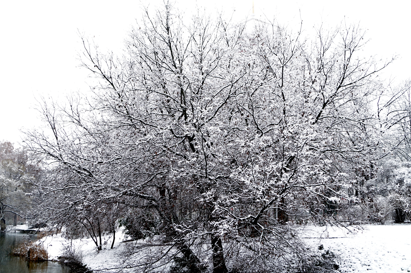 Am Schwanenteich
