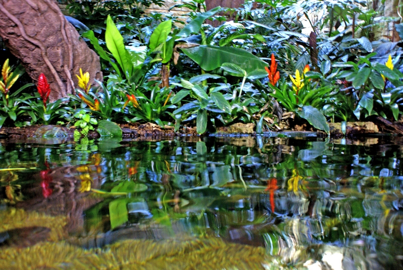 Aquarium