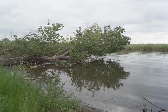 Auf dem Gnitz