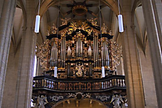 Domorgel