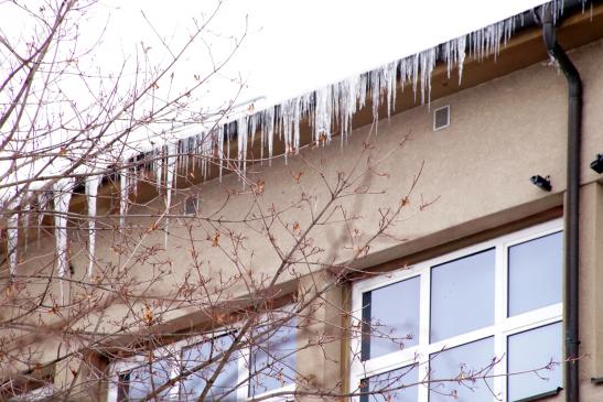 Eiszapfen an der Wertpapierdruckerei