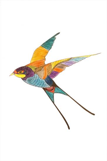 Kolibri