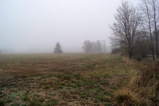 Nebel im Schwarzen Moor
