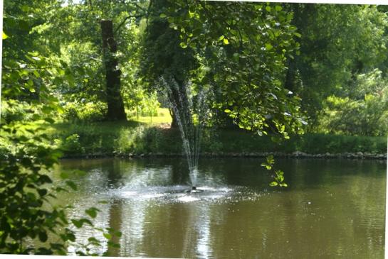 Tümpel im Schlosspark