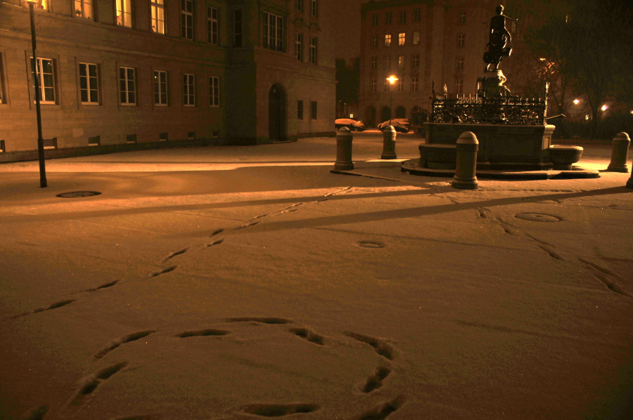 Spuren im Schnee
