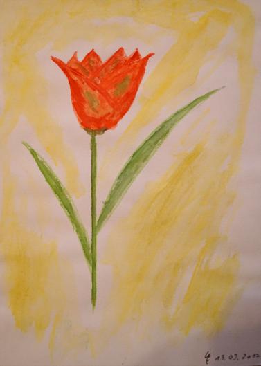 Aquarelltulpe auf Karton