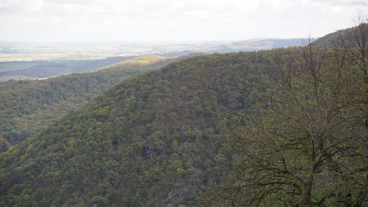 Blick von der Rosstrappe 