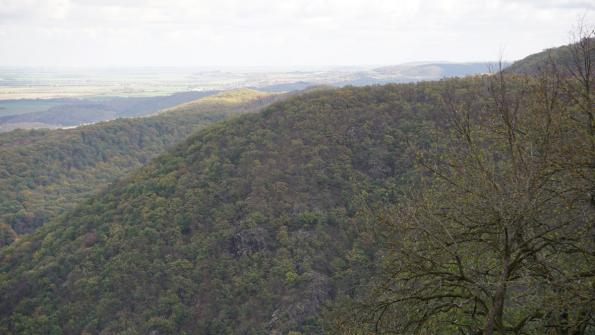 Blick von der Rosstrappe 