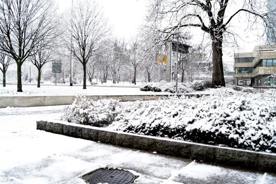 Zugeschneiter Roßplatz